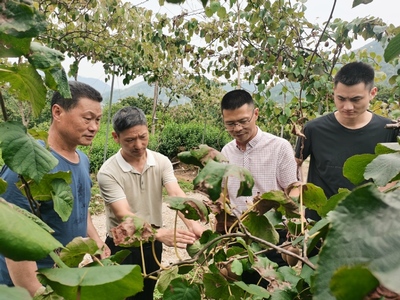 生態(tài)學(xué)院“品質(zhì)農(nóng)業(yè)科技服務(wù)團(tuán)”——信息技術(shù)賦能麗水農(nóng)業(yè)高質(zhì)量發(fā)展