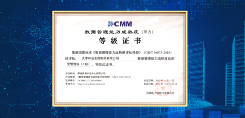天津和治友德制藥成功通過(guò)DCMM貫標(biāo)等級(jí)認(rèn)證，信息技術(shù)服務(wù)邁上新臺(tái)階