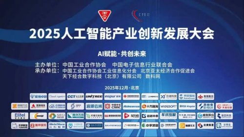喜訊！極聯(lián)股份榮獲“2025年度軟件和信息技術(shù)服務(wù)業(yè)標(biāo)桿企業(yè)”稱(chēng)號(hào)